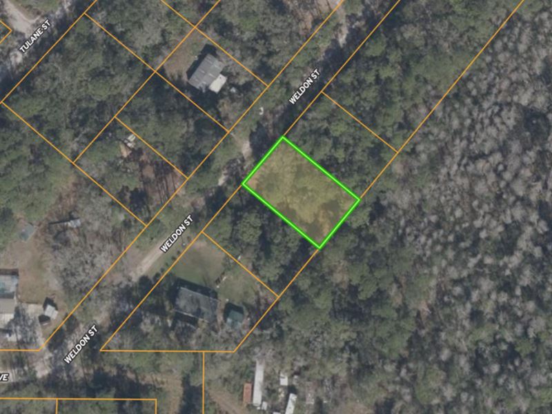 .18 Acres at Weldon Street : New Port Richey : Pasco County : Florida