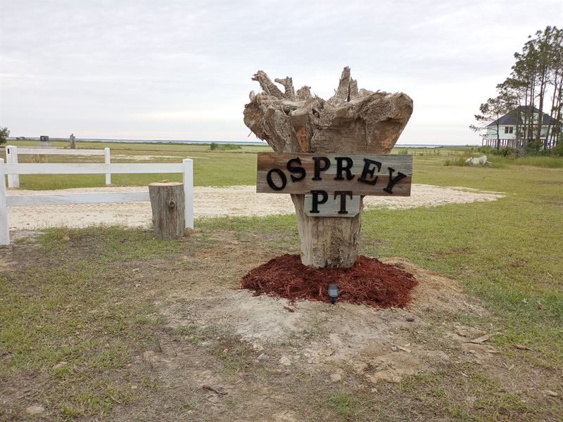 Private Lot with Water Access : Columbia : Tyrrell County : North Carolina