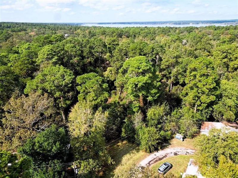 Trinity TX Lot Near Lake Livingston : Trinity : Trinity County : Texas
