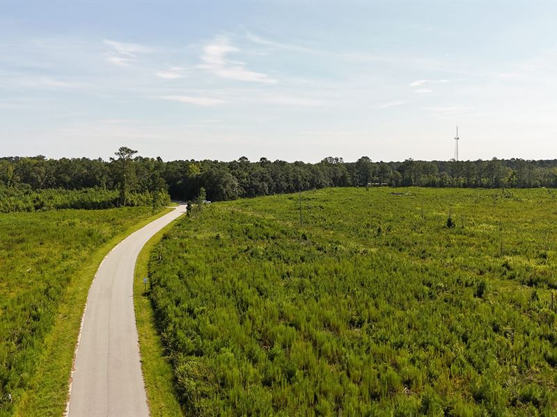 Spanish Drive Tract : Bowman : Orangeburg County : South Carolina