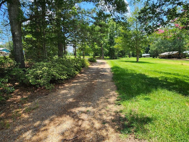 Sontag Escape : Sontag : Lawrence County : Mississippi
