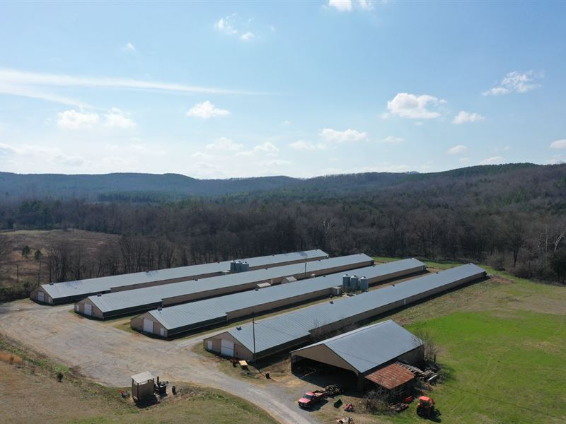 Spring Cliff Broiler Farm : Russellville : Franklin County : Alabama