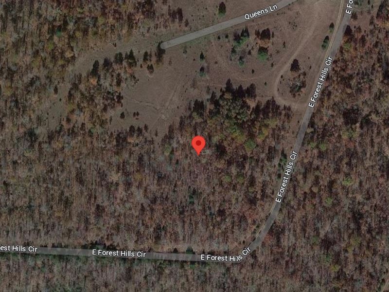 Build, Chill, or Hold Just $55 Down : Horseshoe Bend : Izard County : Arkansas