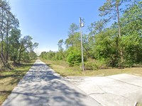 Hidden Gem, Rainbow Lake, $499 Down : Dunnellon : Marion County : Florida