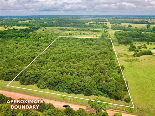 Trees and County Road Access : Stillwater : Payne County : Oklahoma