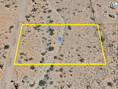 $610.24/Month, Level Arizona Acre : Dolan Springs : Mohave County : Arizona