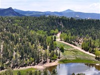 Land with Wildlife Views : Florissant : Teller County : Colorado
