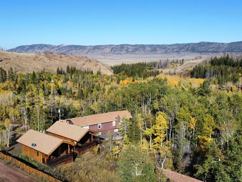 Aspen Hollow : Laramie : Albany County : Wyoming