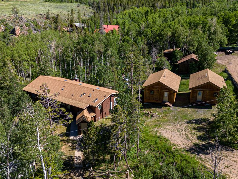 Aspen Hollow : Laramie : Albany County : Wyoming