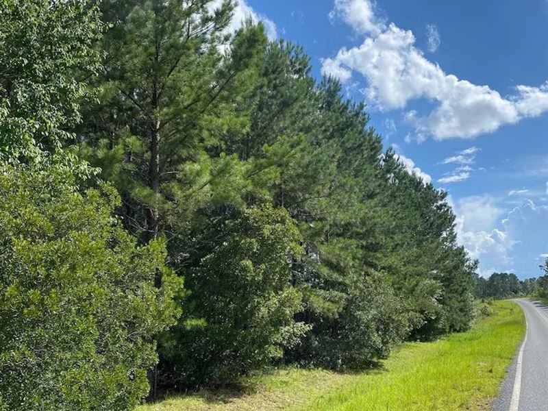 16 Acres in Johnson County, GA : Kite : Johnson County : Georgia