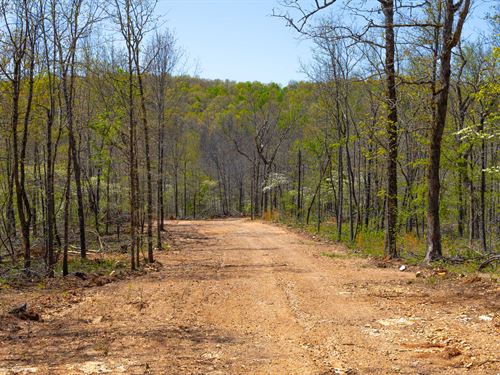 $999 Down Land in Arkansas : Mammoth Spring : Fulton County : Arkansas