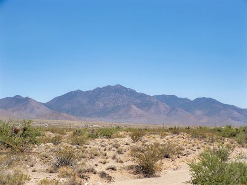 Your 1.07 Acre Arizona Sanctuary : Dolan Springs : Mohave County : Arizona