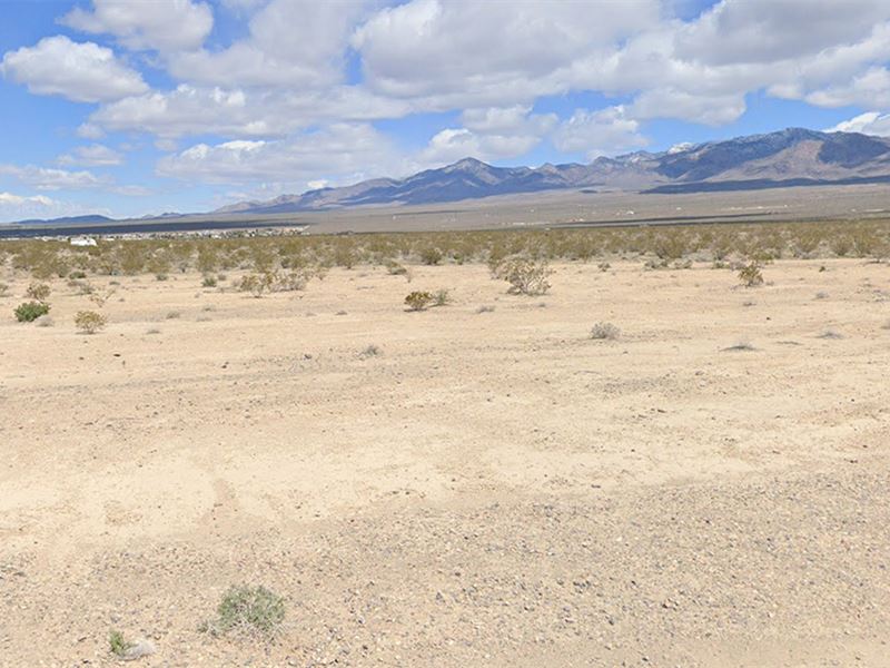 Half Acre, Full Potential : Pahrump : Nye County : Nevada
