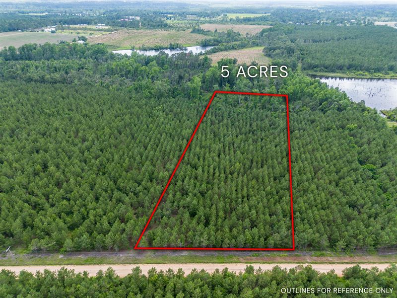 Tract 8 in Sanderling Road : Alma : Bacon County : Georgia