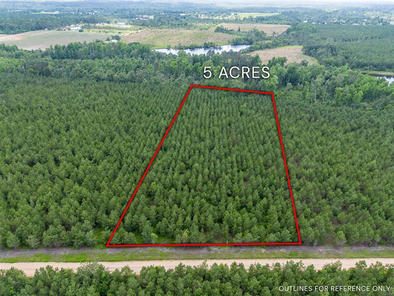 Tract 9 in Sanderling Road : Alma : Bacon County : Georgia