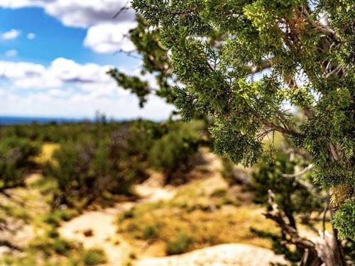 5 Acre Off-Grid : Saint Johns : Apache County : Arizona