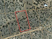 2 Acres with Electric in Area : Seligman : Yavapai County : Arizona