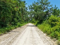 Bayberry 10 : Madison : Florida