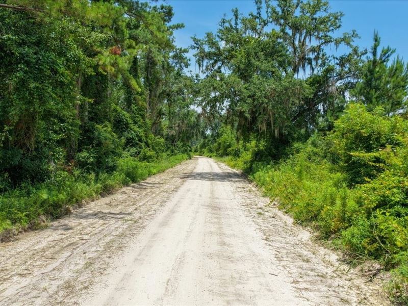 Bayberry 10 : Madison : Madison County : Florida