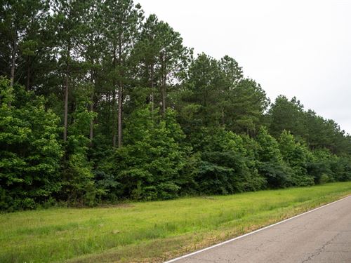 Jess Lyons Road Lot 1, 4.5 Acres : Columbus : Lowndes County : Mississippi