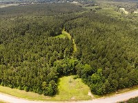 Jess Lyons Road Lot 5, 13 Acres : Columbus : Lowndes County : Mississippi