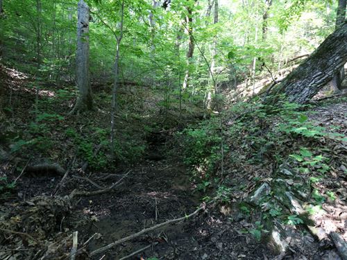 6.28 Acres in White County GA : Murrayville : White County : Georgia