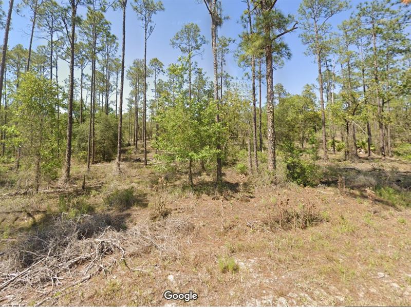 Build, Breathe, Relax, $299 Down : Dunnellon : Marion County : Florida