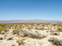 Affordable Arizona Land, Must See : Yucca : Mohave County : Arizona