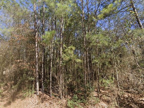 Lake Town Living Lot : Ivanhoe : Tyler County : Texas