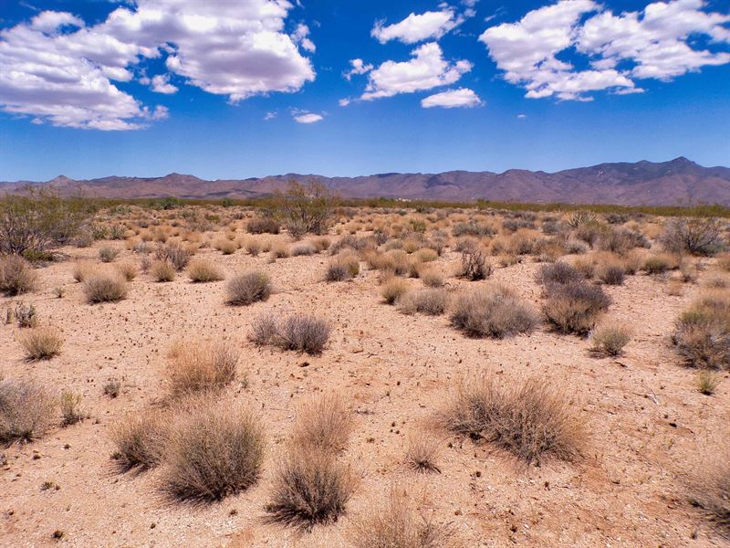 1 Acre Prime Land in Mohave AZ : Golden Valley : Mohave County : Arizona
