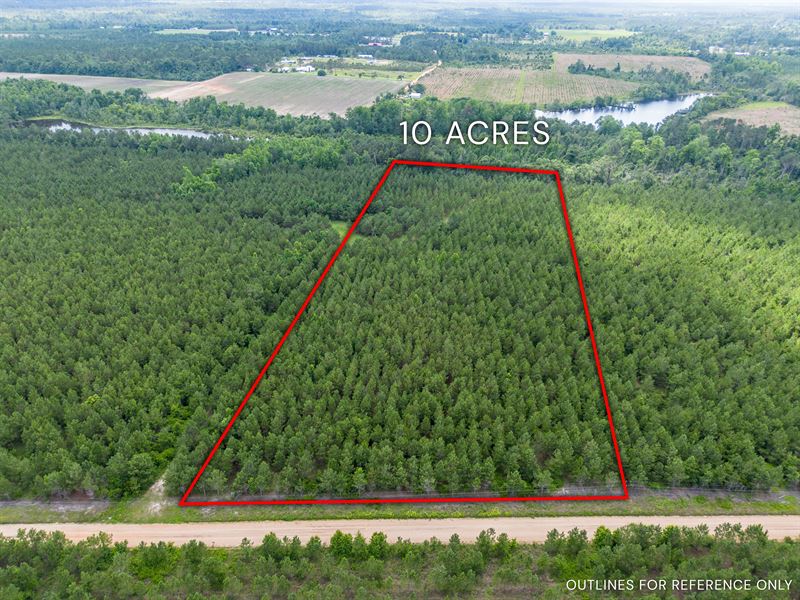 Tract 1, Sanderling Road in Bacon : Alma : Bacon County : Georgia