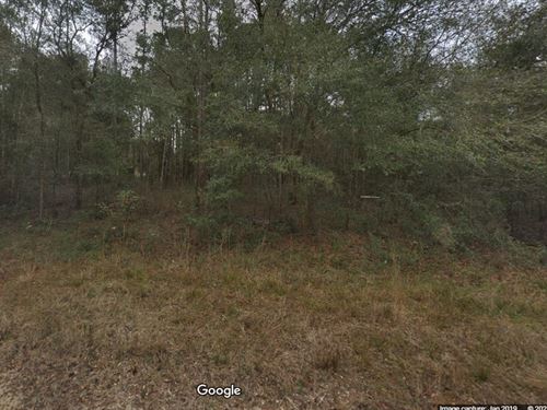 $199Down Easy Terms Interlachen Lot : Interlachen : Putnam County : Florida