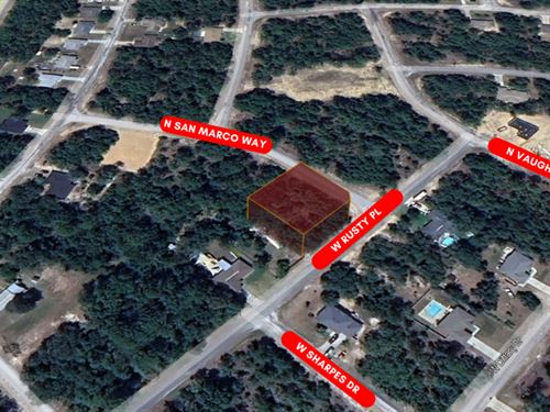 Spacious Citrus Springs Lot : Citrus Springs : Citrus County : Florida