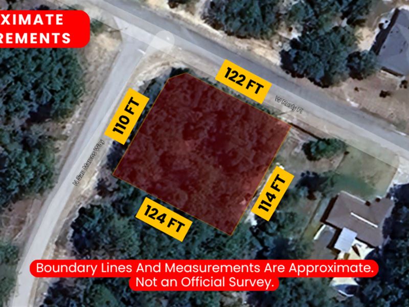 Spacious Citrus Springs Lot : Citrus Springs : Citrus County : Florida