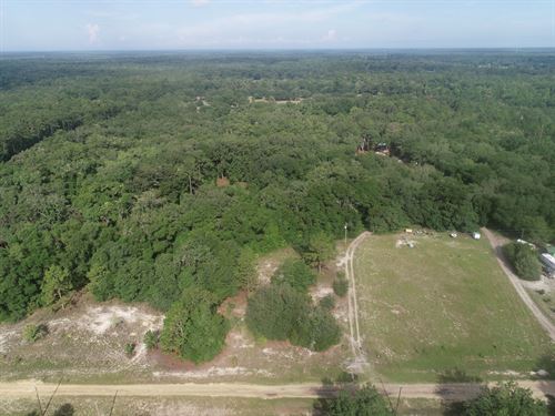 4.2 Acres in Putnam County FL : Florahome : Putnam County : Florida