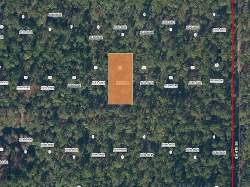 Freedom Day Land Deal at $18 Down : Federal Point : Putnam County : Florida