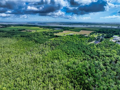 11.08 Acres in Currituck County NC : Barco : Currituck County : North Carolina
