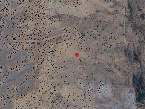 Tranquil Living in Chambers, AZ : Chambers : Apache County : Arizona