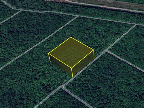 Big Land, Tiny Price $99 Down Today : Hastings : Flagler County : Florida