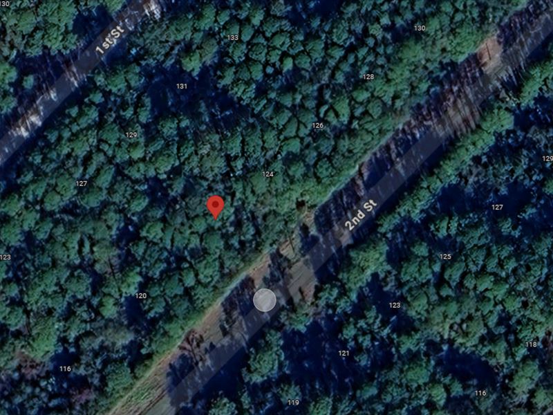 Residential Lot Near Water : Georgetown : Putnam County : Florida