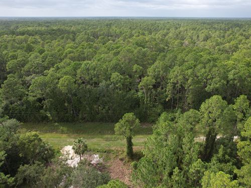 Residential Lot Near Water : Georgetown : Putnam County : Florida