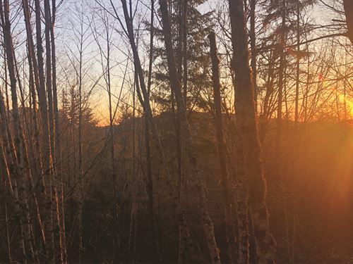 Gorgeous 10 Acres, Invest or Build : Ravensdale : King County : Washington