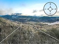 Rare 10 Ac Next to Nature Reserve : Ravensdale : King County : Washington