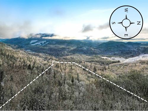 Rare 10Ac Next to Nature Reserve : Ravensdale : King County : Washington
