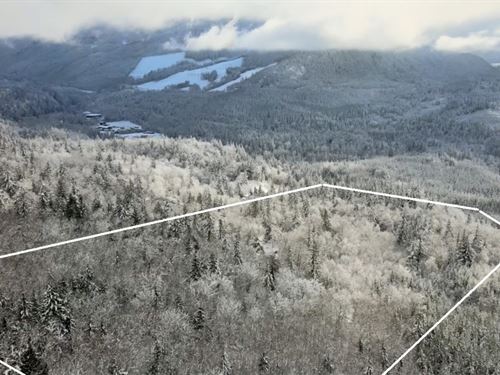 Rare 10 Ac Next to Nature Reserve : Ravensdale : King County : Washington