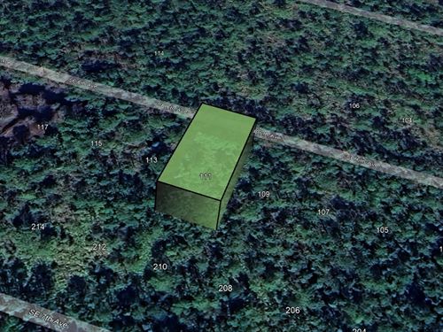 Affordable Florida Freedom $199Down : Federal Point : Putnam County : Florida