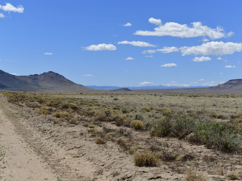 5 Acres with Direct Road Access : Mesita : Costilla County : Colorado