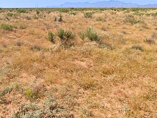 Lot for Camping, Rv, and Investment : Deming : Luna County : New Mexico