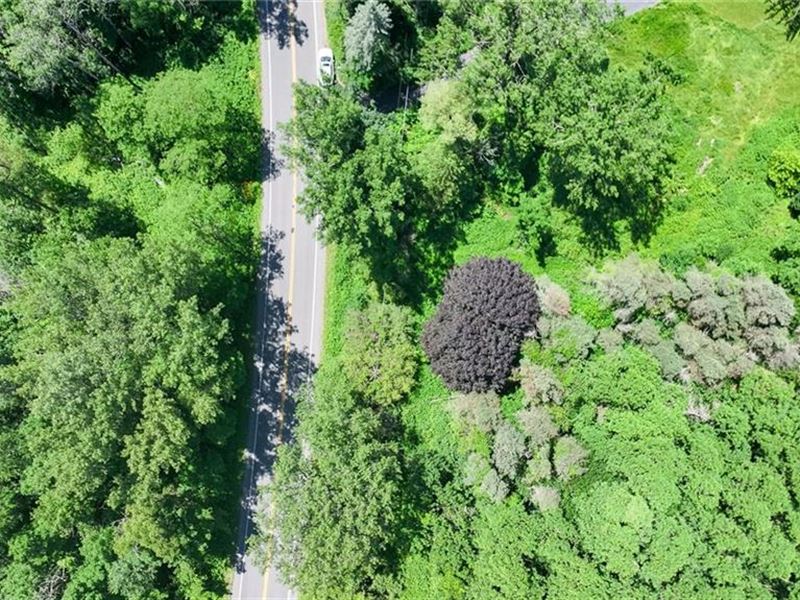 Wooded 2+- Acre Lot : Pompey : Onondaga County : New York
