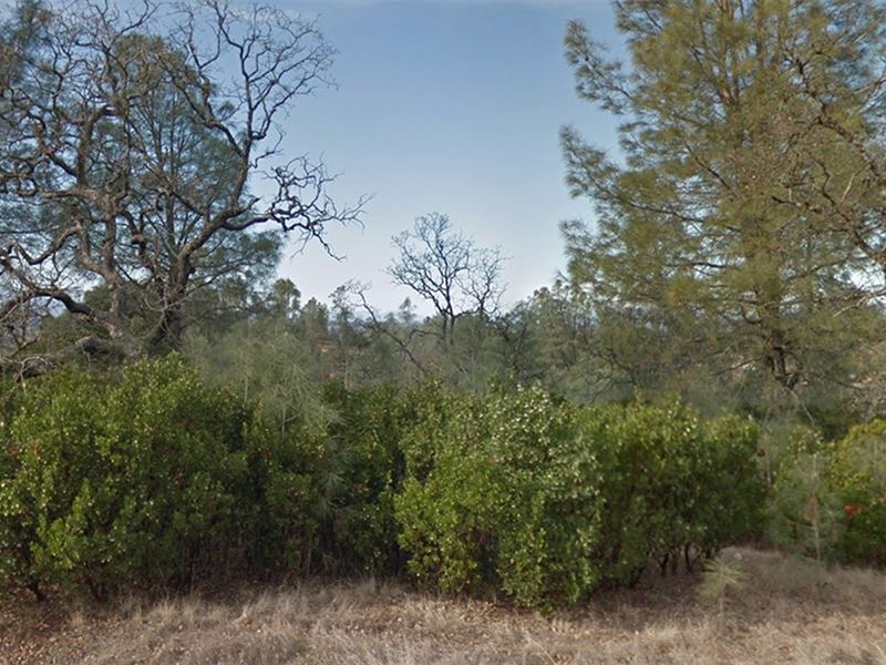 Grab It Before Gone : Corning : Tehama County : California